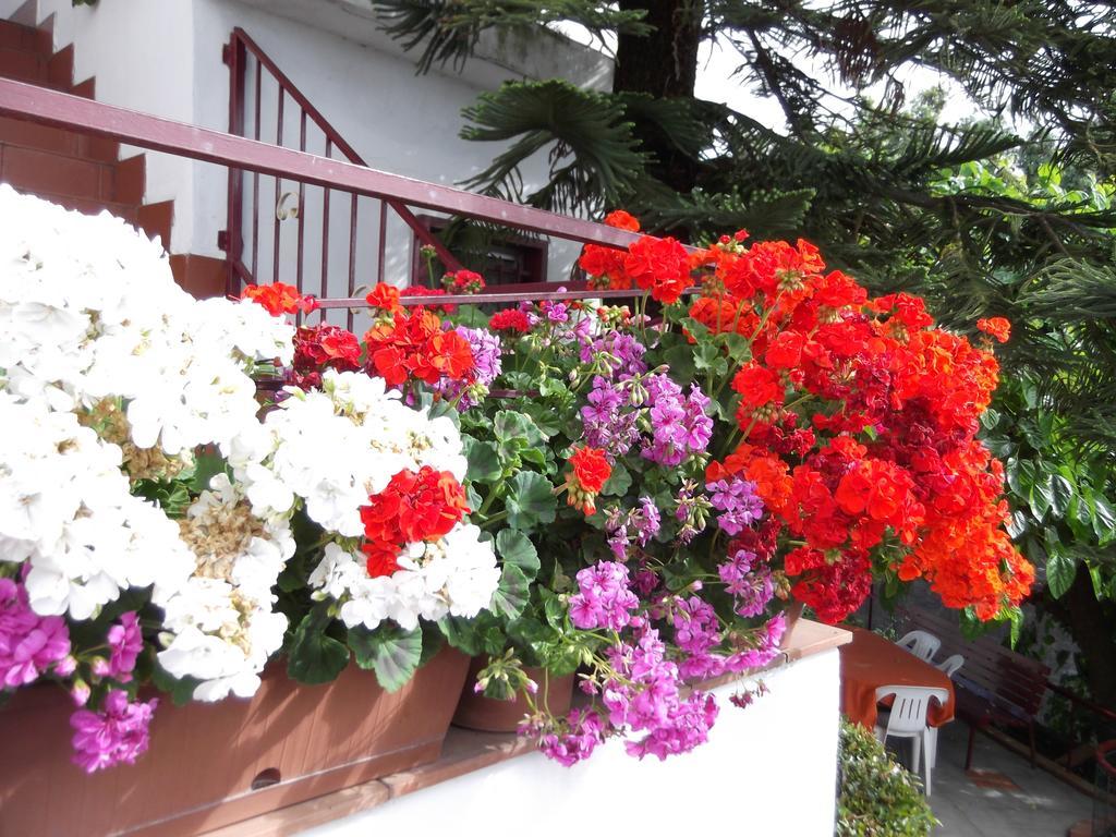 Casavacanzeinsicilia Etna Taormina Piedimonte Etneo Quarto foto