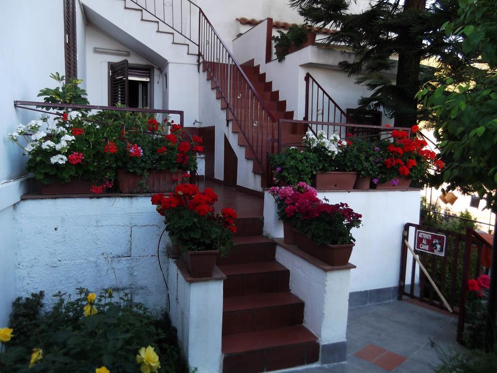 Casavacanzeinsicilia Etna Taormina Piedimonte Etneo Exterior foto