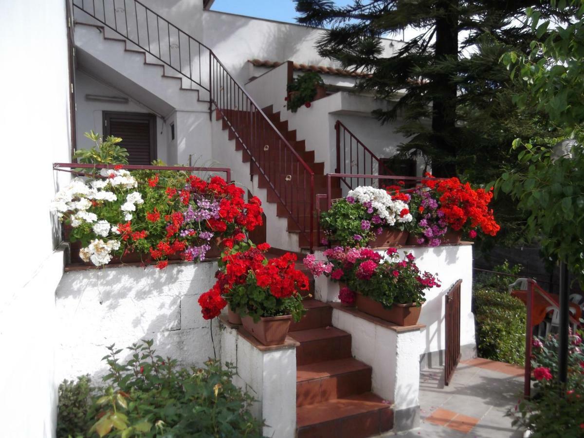Casavacanzeinsicilia Etna Taormina Piedimonte Etneo Exterior foto